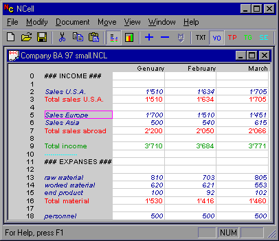 NCell spreadsheet expenses sample